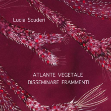 Atlante Vegetale | Lucia Scuderi - Illustratrice, autrice, pittrice